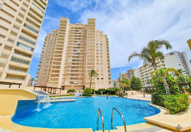 Apartamento en Calpe - A008 - APOLO XVI Apartamento en Calpe - A008 - APOLO XVI