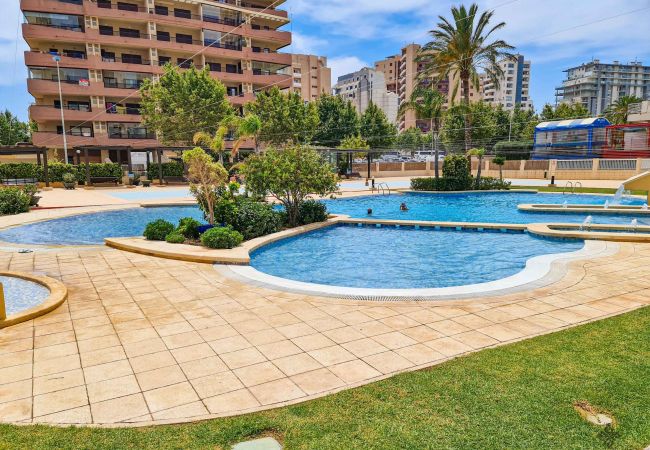 Apartamento en Calpe - A008 - APOLO XVI Apartamento en Calpe - A008 - APOLO XVI