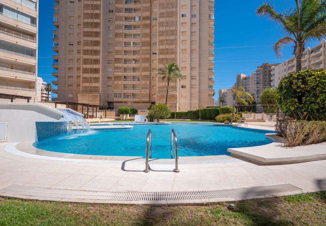 Apartamento en Calp - A047 - APOLO XVI 4º 17
