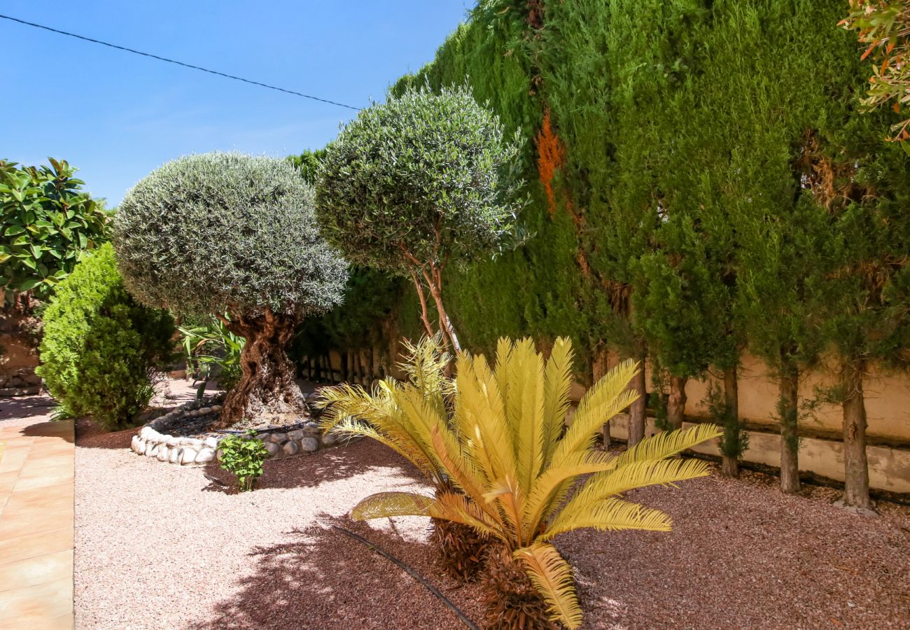 Villa in Calpe - AV-7402