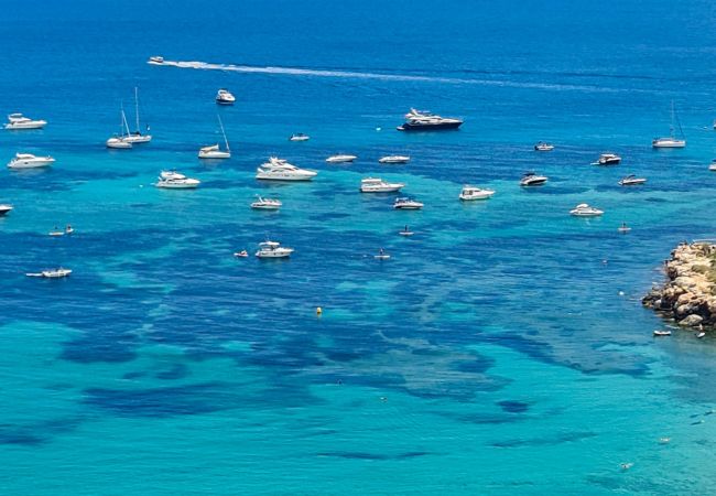 Apartment in Calpe - A008 - APOLO XVI Apartment in Calpe - A008 - APOLO XVI