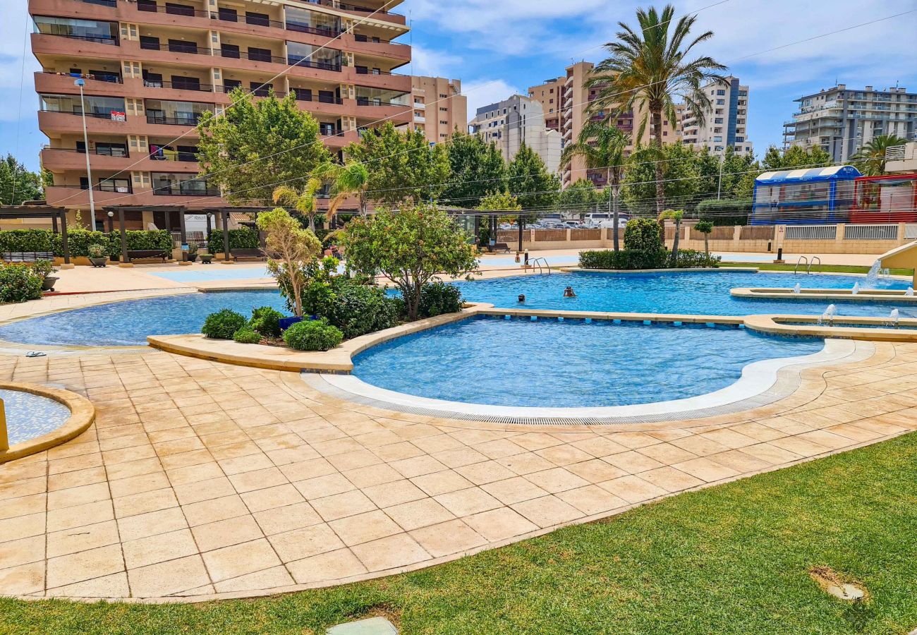 Apartment in Calpe / Calp - A008 - APOLO XVI