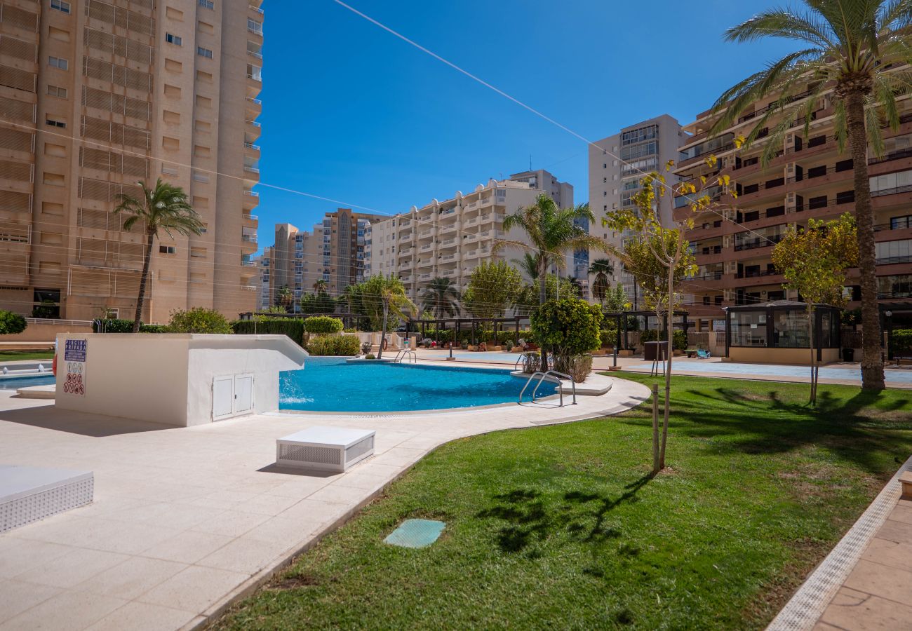 Apartment in Calp - A047 - APOLO XVI 4º 17